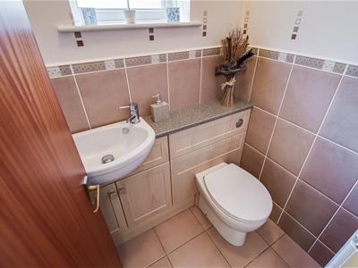 Picture 7